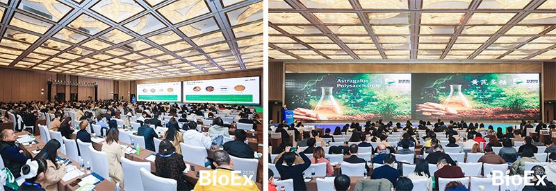 新朝陽亮相BioEx 2026：技術(shù)供給+屬地化協(xié)同，推動高性能生物刺激素高效落地
