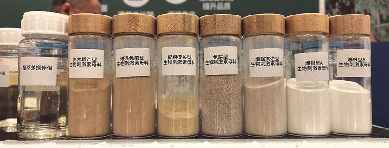 新朝陽(yáng)亮相ABS 2026：聚焦生物刺激劑創(chuàng)新，助力農(nóng)業(yè)綠色轉(zhuǎn)型